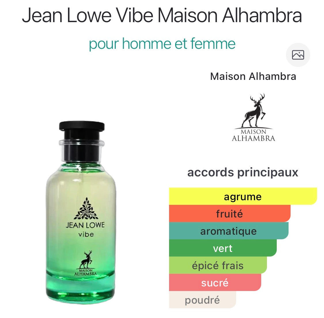 Jean Loewe Vibe