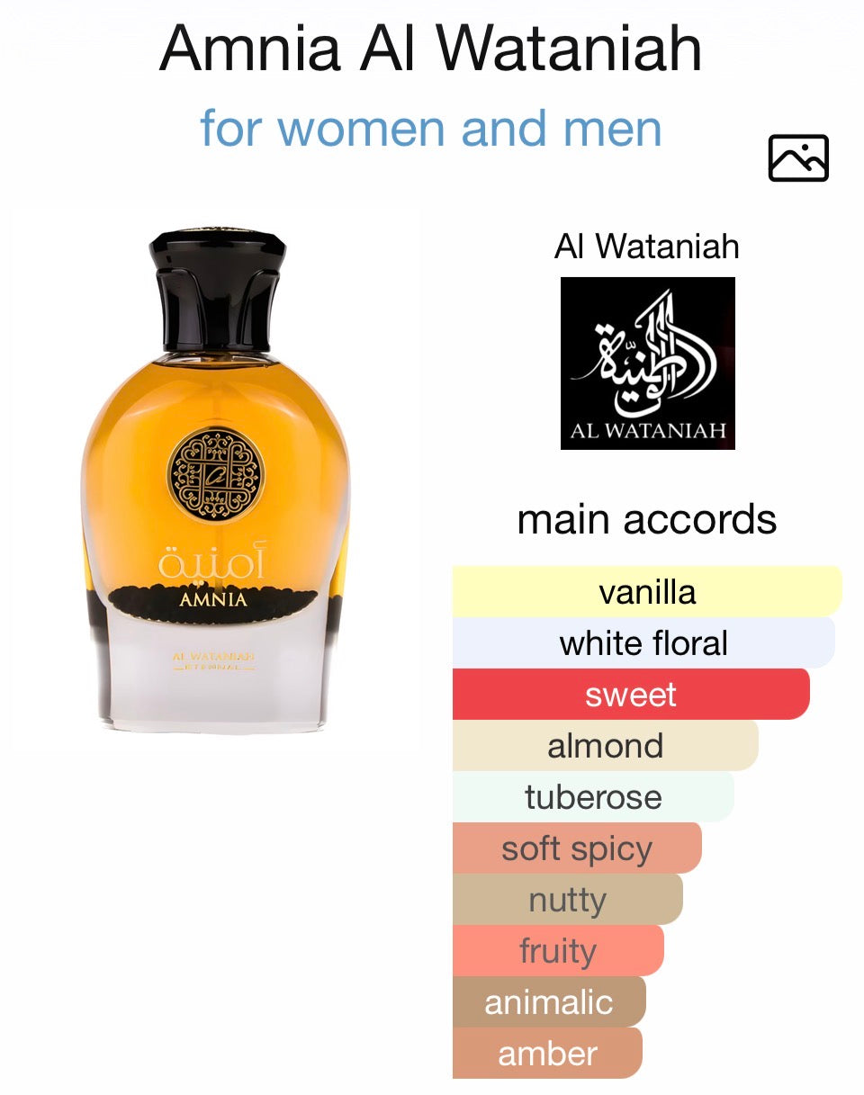 Amnia Al Wataniah eau de parfum pour femme 100 ml