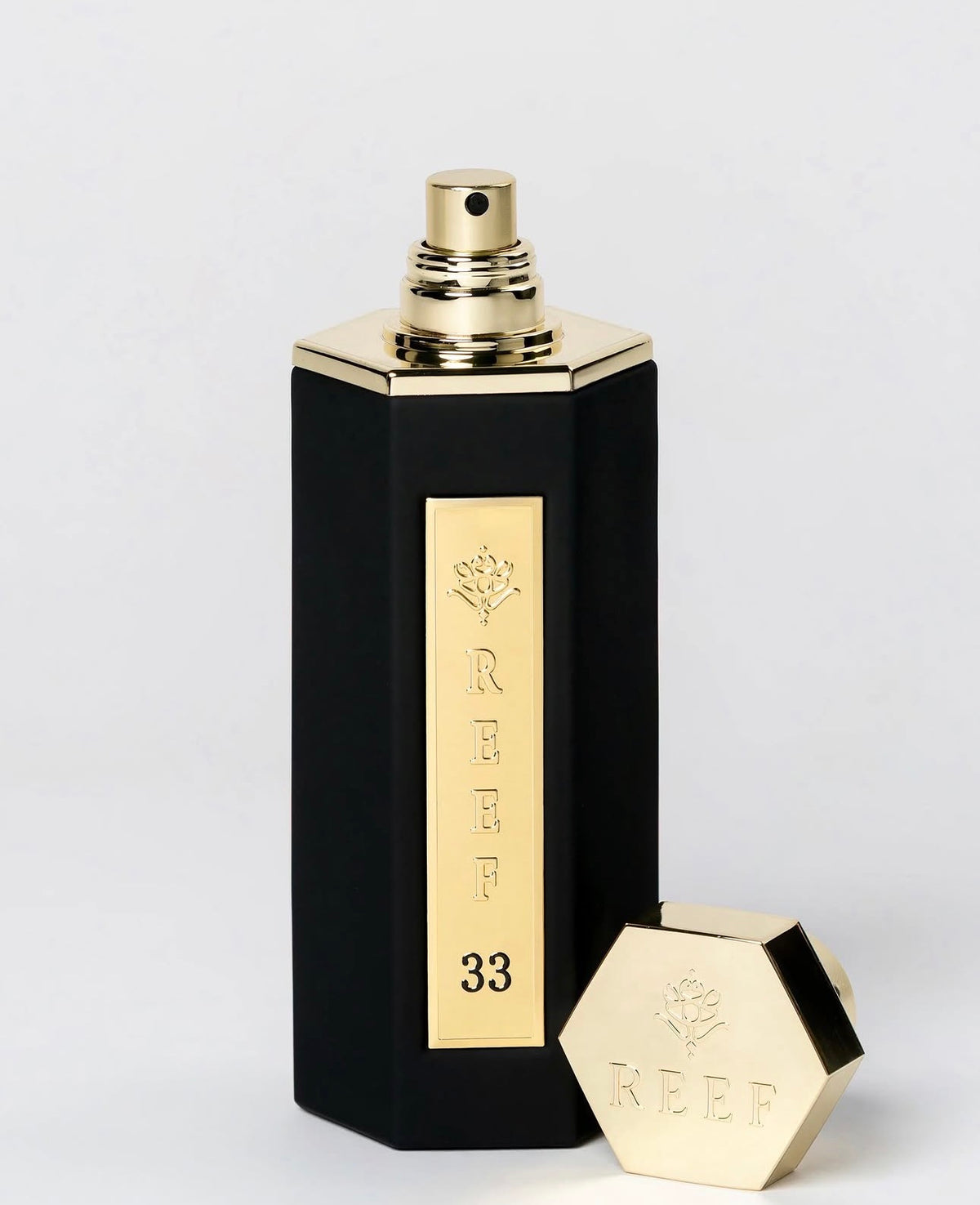 REEF 33