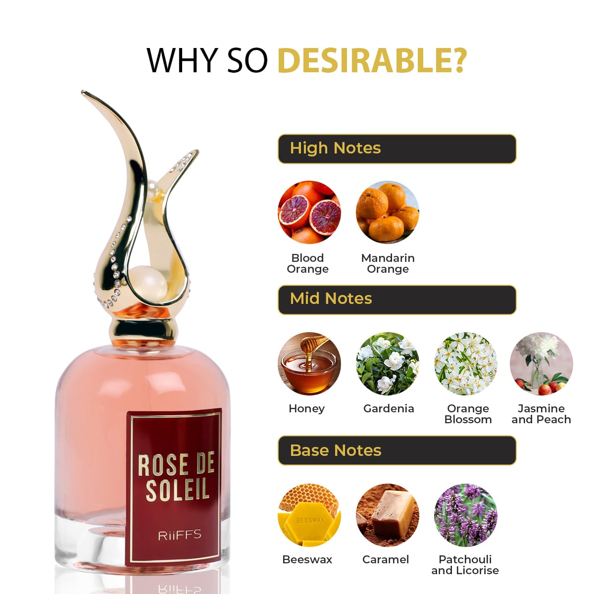 Rose de Soleil- RIIFFS