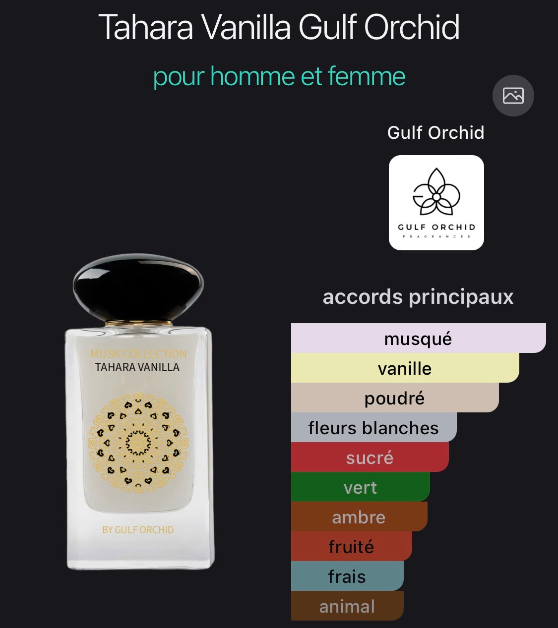 Tahara Vanille Musk Collection - Gulf Orchid