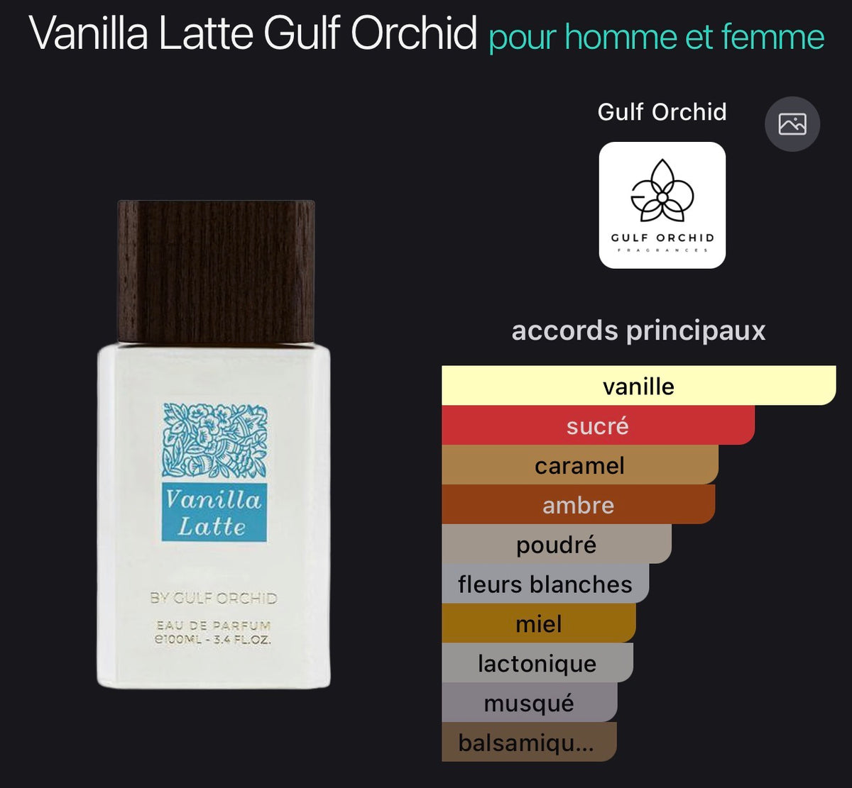 Vanilla Latte - Gulf Orchid