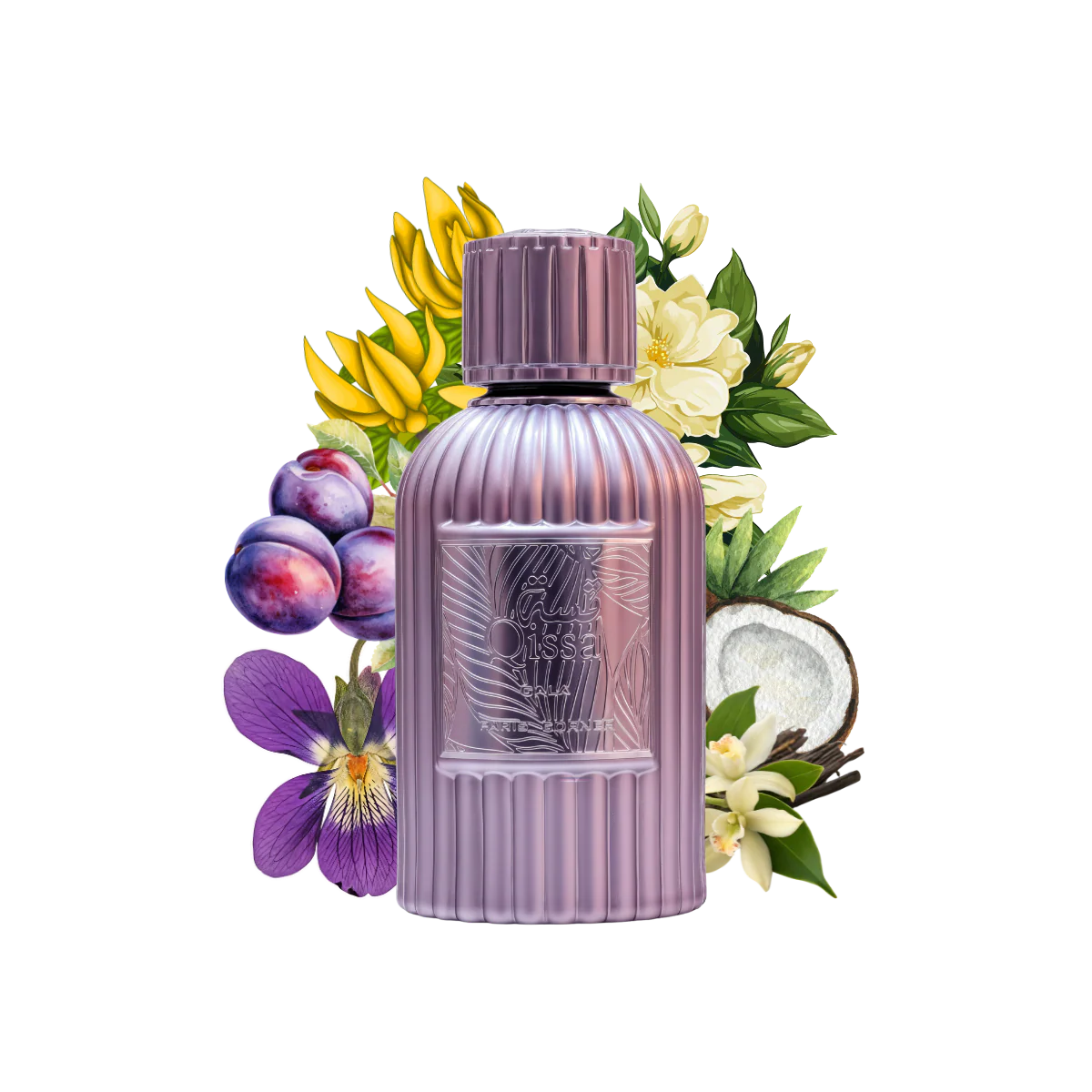 Qissa Gala Paris Corner 100ml