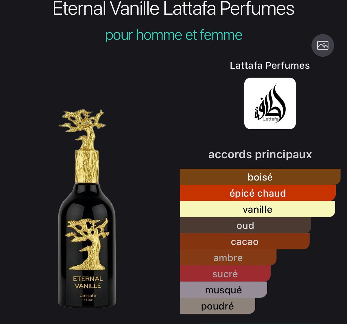 Eternal Vanilla - Lattafa
