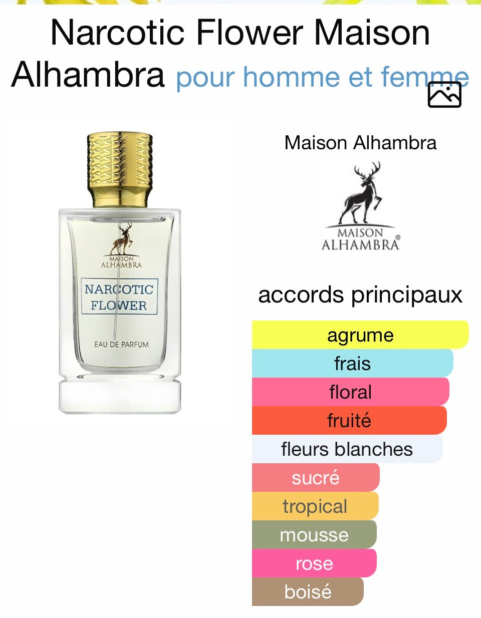 Narcotique Flower Maison Alhambra Unisexe