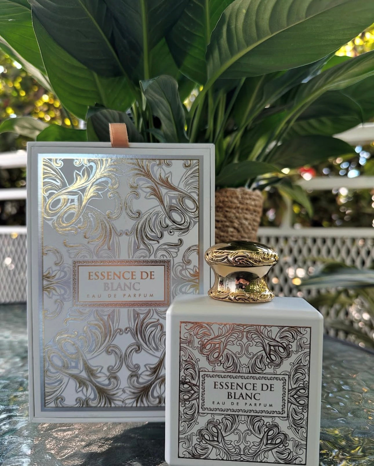 Essence de Blanc French Avenue