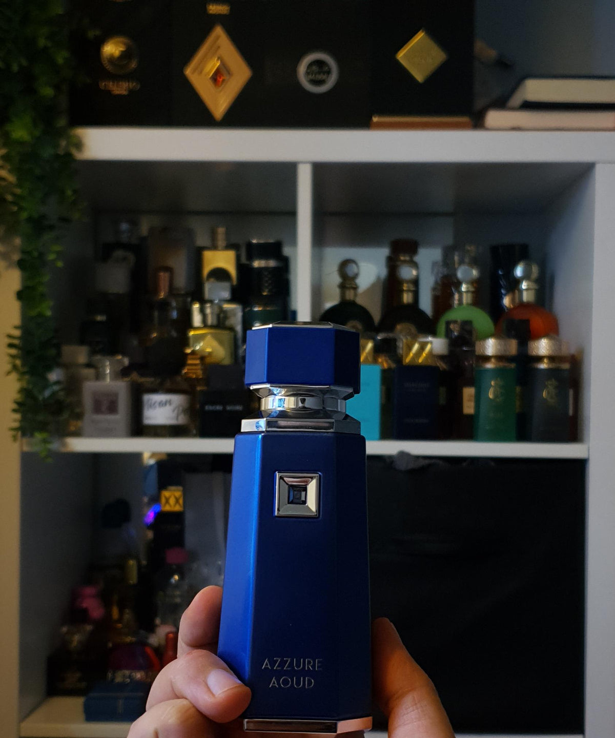 Azzure Aoud French Avenue EDP unisexe 100 ml
