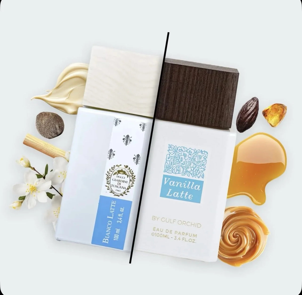 Vanilla Latte - Gulf Orchid