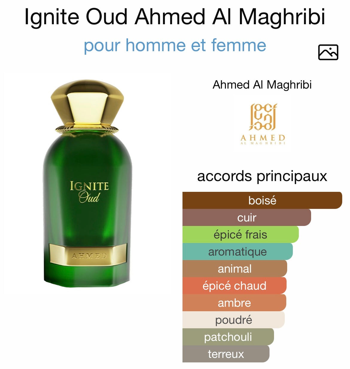Ignite Oud Ahmed Al Maghribi
