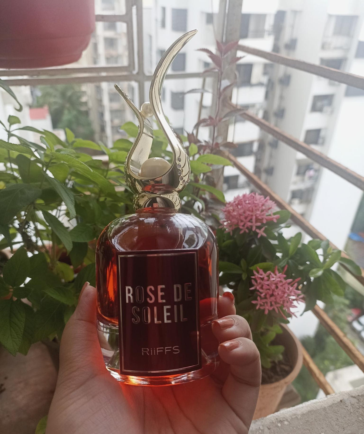 Rose de Soleil- RIIFFS